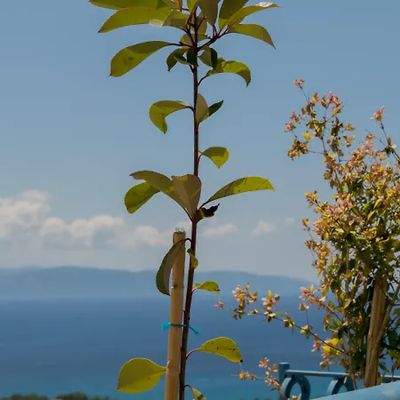 Diana Ξενοδοχείο με διαμερίσματα