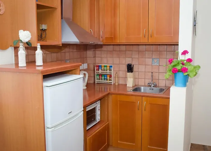 戴安娜一室公寓酒店 公寓式酒店